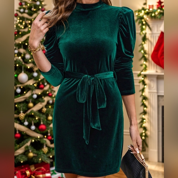 Pine Velvet Luxe Mini Dress - Picture 8 of 10